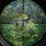 خرید بازی theHunter: Call of the Wild