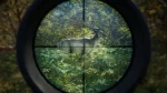خرید بازی theHunter: Call of the Wild