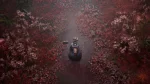 خرید بازیSilent hill f استیم